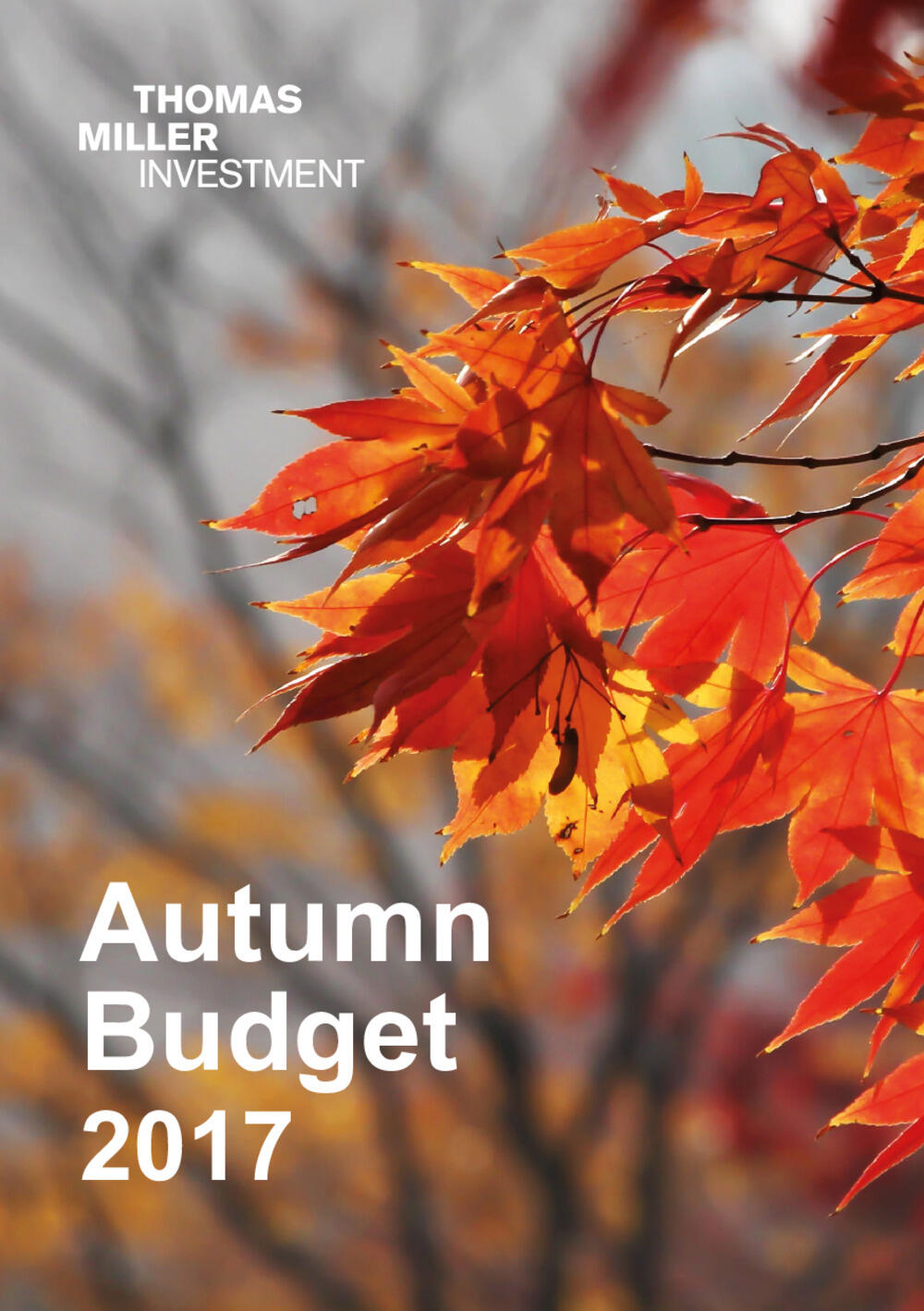 Autumn Budget 2017